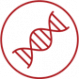 DNR profilio testas – 1 asmuo